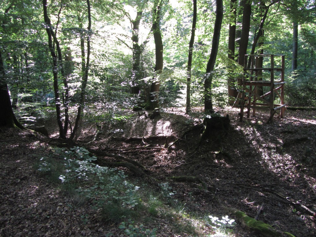 Waldgraben und Jägersitze. Nicht ungewöhnlich in solchen Wäldern...